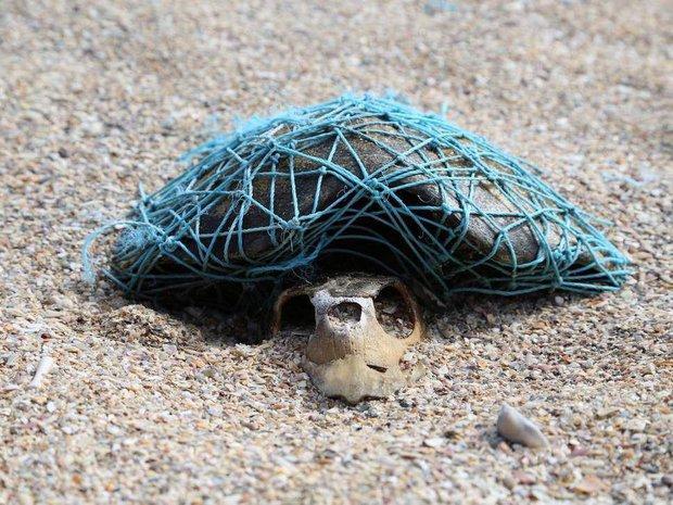 تا سال 2050، دریاها بیشتر حاوی پلاستیک خواهند بود تا ماهی