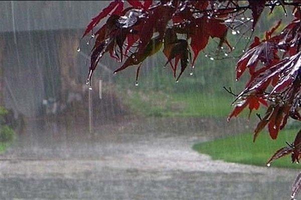 فعالیت سامانه بارشی تا فردا در استان ادامه دارد، احتمال وقوع سیل