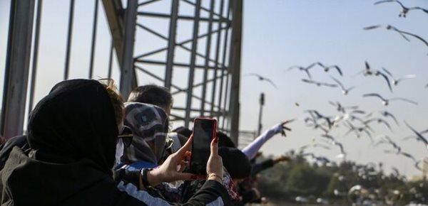 توسعه صنعت گردشگری با موضوع پرنده نگری یکی از ضروریات در شهر اهواز و استان خوزستان است