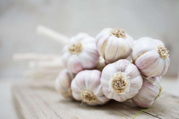 معجزات خوردن یک حبه سیر ، خواص سیر و تاثیرات اعجاب انگیز معجزات خوردن یک حبه سیر ، خواص سیر و تاثیرات اعجاب انگیز آن بر بدن انسان